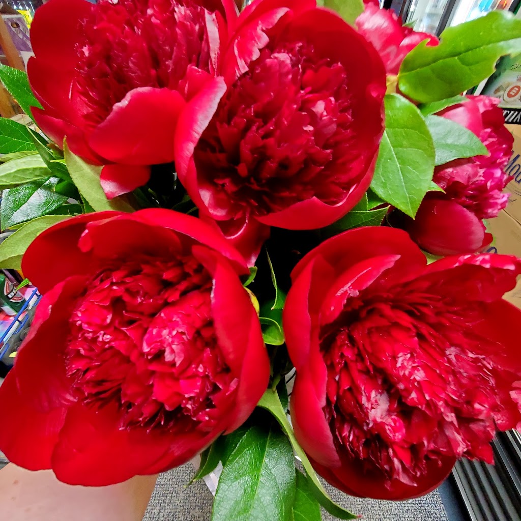 Al & Al Liquors | 400 W Dundee Rd, Buffalo Grove, IL 60089, USA | Phone: (847) 941-7500 Al & Al Liquors | 400 W Dundee Rd, Buffalo Grove, IL 60089, USA | Phone: (847) 941-7500