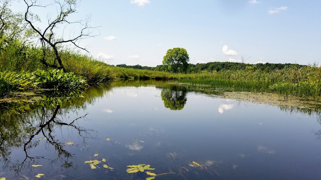 Reichert Nature Preserve Parking | 400 Tiplady Rd, Pinckney, MI 48169, USA | Phone: (734) 302-5263
