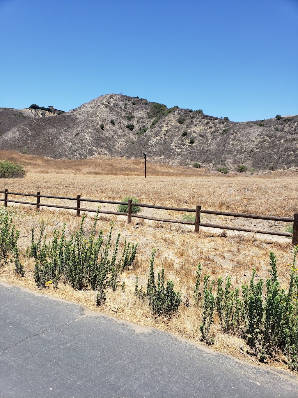 Aliso and Wood Canyons Wilderness Park | 28373 Alicia Pkwy, Aliso Viejo, CA 92656, USA | Phone: (949) 923-2200