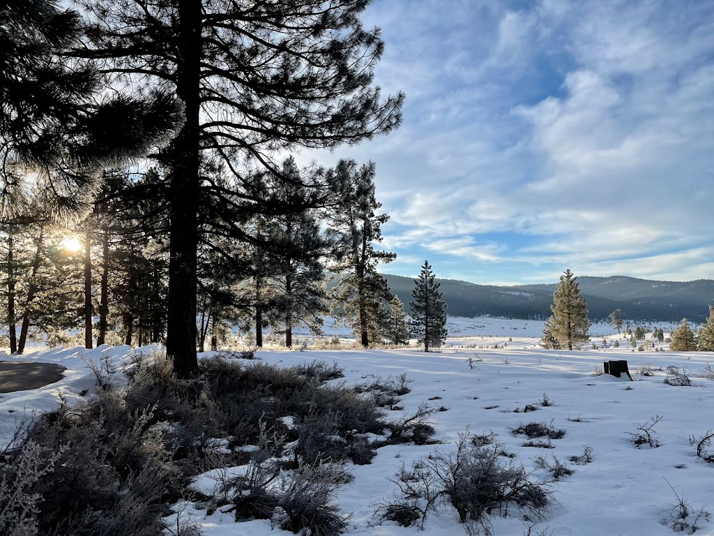 Martis Creek Campground | Alpine Meadow Camp, Truckee, CA 96161, USA | Phone: (530) 587-8113