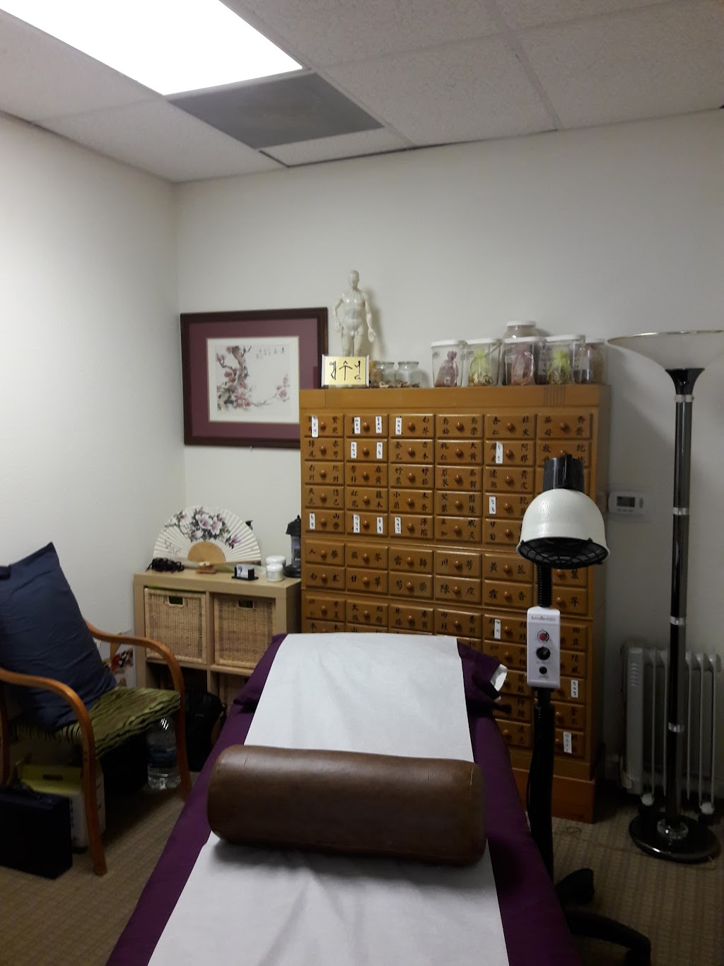 Axos Acupuncture | 27462 Calle Arroyo Ste A, San Juan Capistrano, CA 92675, USA | Phone: (949) 397-2407