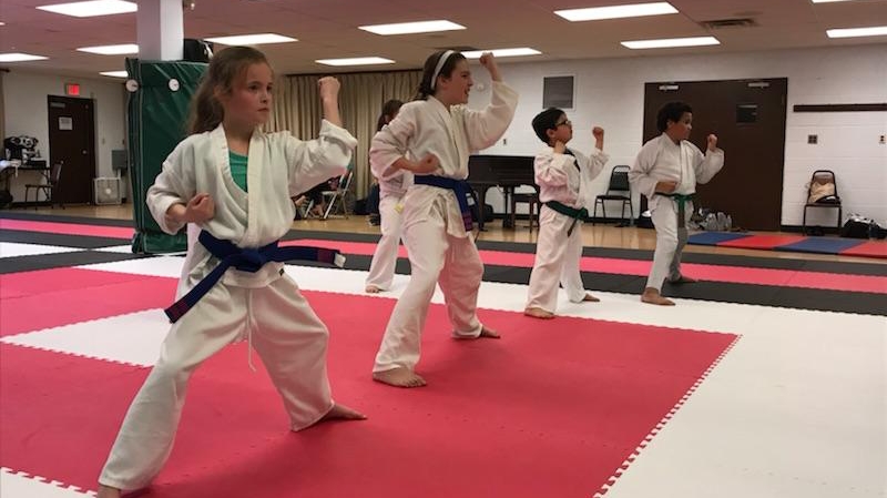 Keith Jones Karate | 197 Imperial Blvd, Hendersonville, TN 37075, USA | Phone: (615) 824-3973