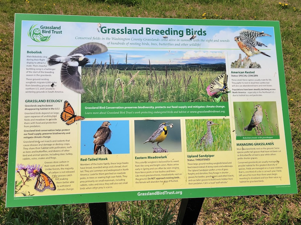 Alfred Z. Solomon Grassland Viewing Area | 160 County Rd 42, Fort Edward, NY 12828, USA | Phone: (518) 499-0012