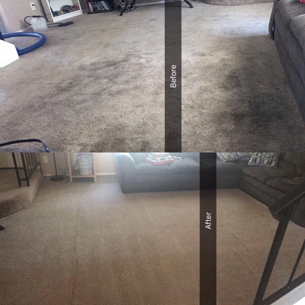 All Pro Carpet Cleaning | 15166 Los Gatos Blvd, Los Gatos, CA 95032, USA | Phone: (408) 560-4892