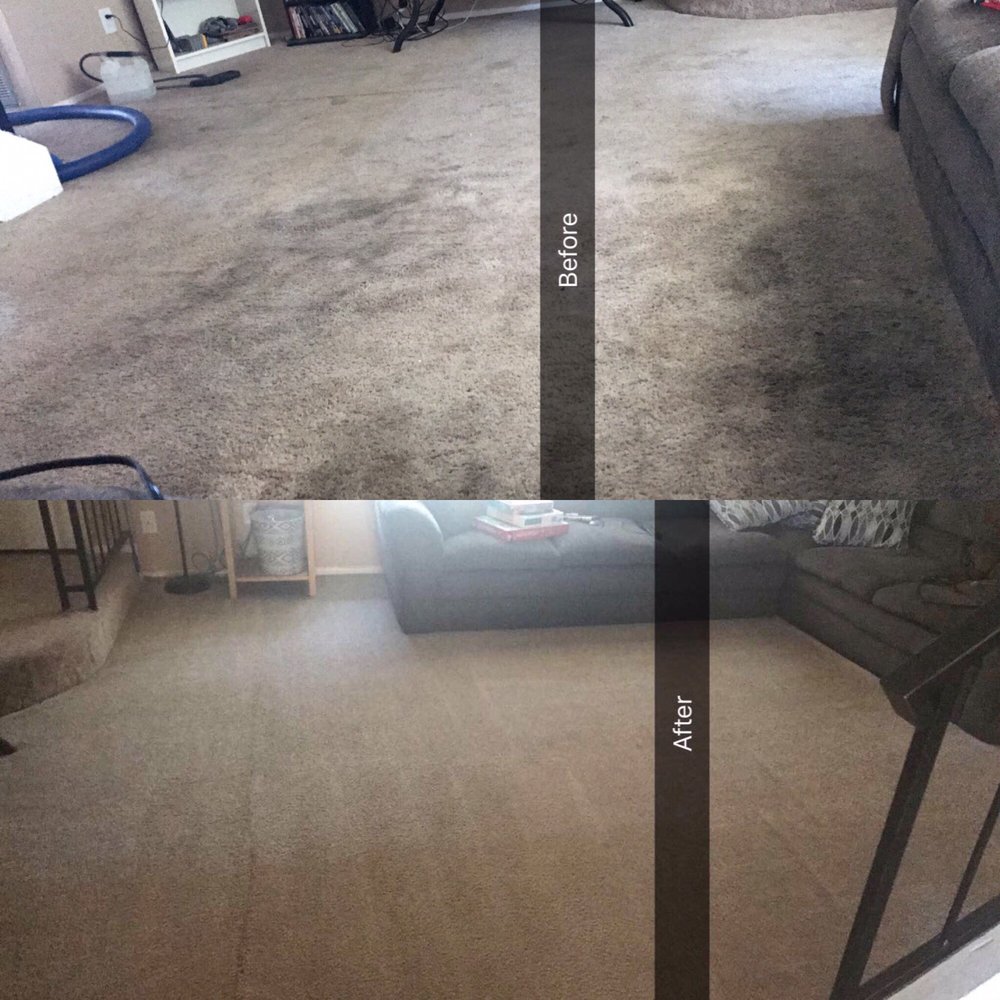 All Pro Carpet Cleaning 15166 Los Gatos Blvd, Los Gatos, CA 95032