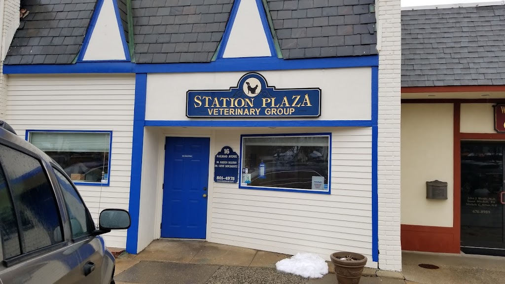 Station Plaza Veterinary Group | 16 Railroad Ave, Glen Head, NY 11545, USA | Phone: (516) 801-4975