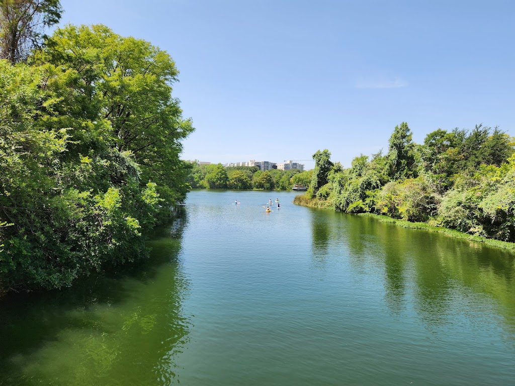 Edward Rendon Sr. Park at Festival Beach in Town Lake Metropolitan Park | 2101 Jesse E. Segovia St, Austin, TX 78702, USA | Phone: (512) 974-6700