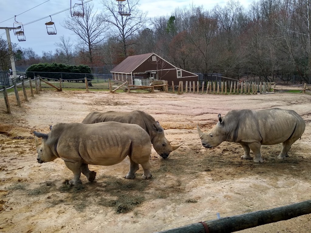 Metro Richmond Zoo | 8300 Beaver Bridge Rd, Moseley, VA 23120, USA | Phone: (804) 739-5666