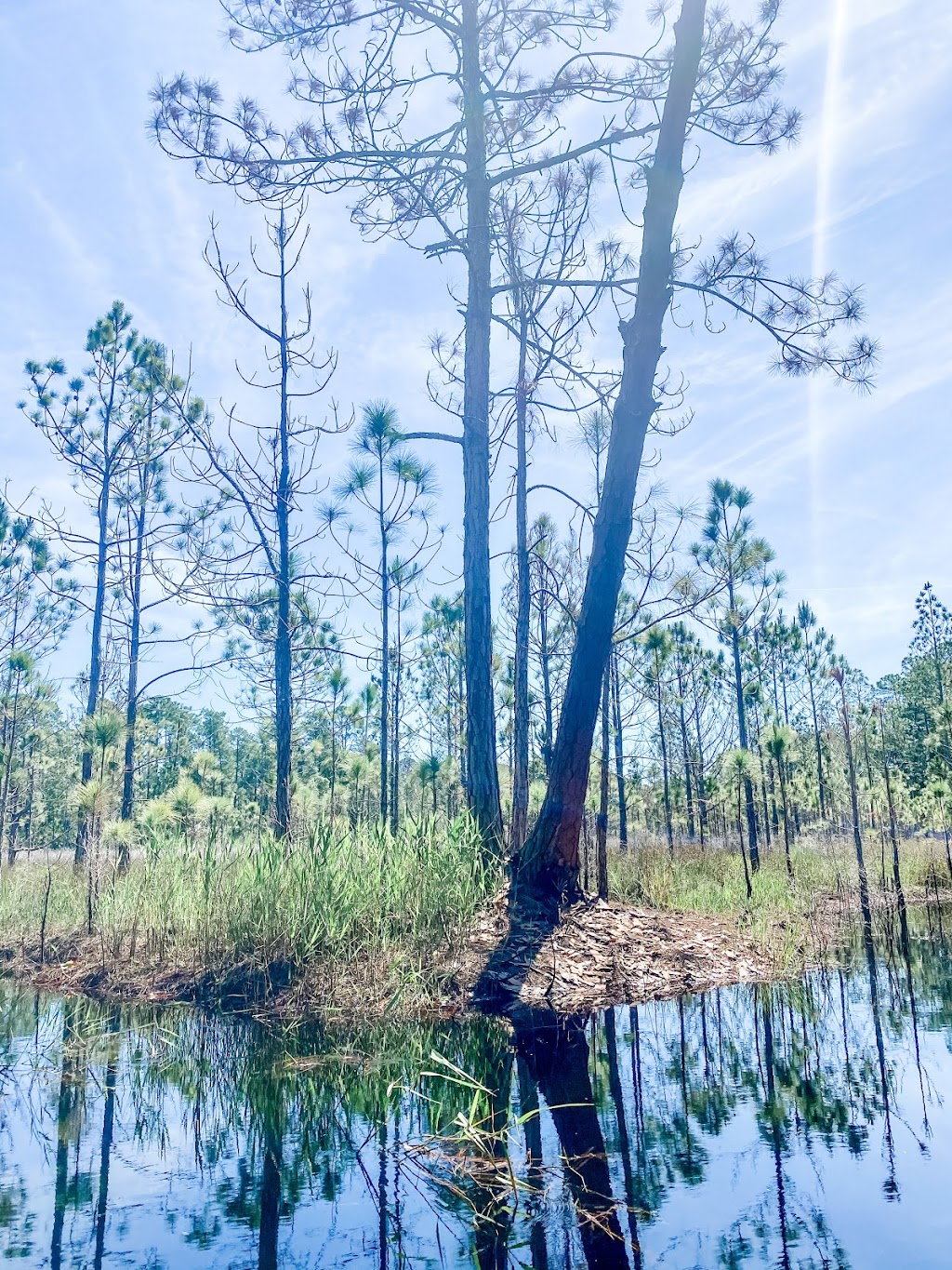 D Ranch Preserve | 2655 Reed Ellis Rd, Osteen, FL 32764 | Phone: (352) 376-4770