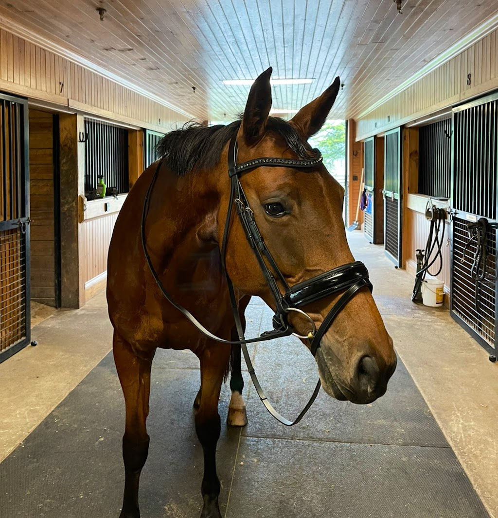 Kohler Equestrian, LLC | 6 Pueblo Pkwy, Sparta Township, NJ 07871, USA | Phone: (973) 978-9152