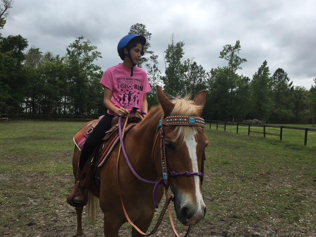 Coopers Creek Horseback Riding Lessons | 3183 Russell Rd, Green Cove Springs, FL 32043, USA | Phone: (330) 419-0875