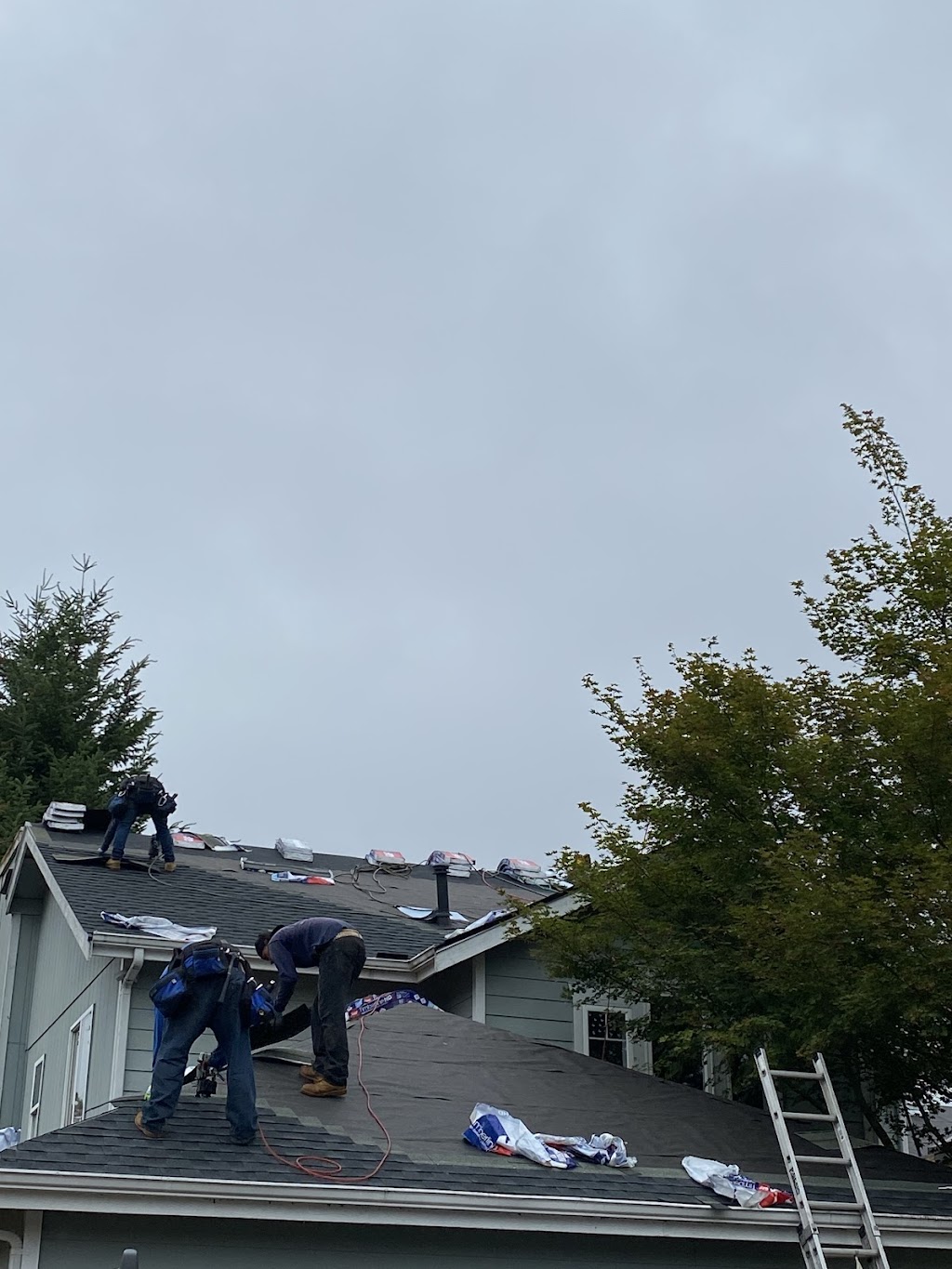Lobo Roofing, LLC | 8303 19th Ave E, Tacoma, WA 98404, USA | Phone: (253) 651-3106