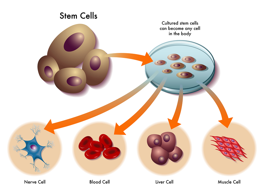 Principal Stem Cell Therapy and Wellness Institute | 1809 Golden Trail Ct Ste 110a, Carrollton, TX 75010, USA | Phone: (972) 316-7270
