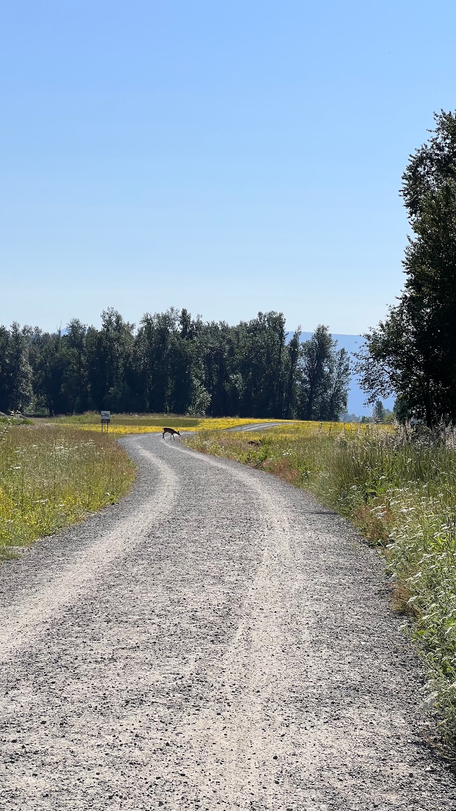 Steigerwald Lake National Wildlife Refuge | 35001 Lewis and Clark Hwy, Washougal, WA 98671, USA | Phone: (360) 835-8767