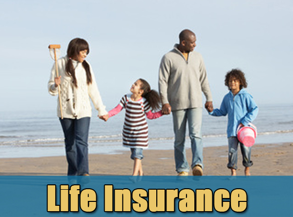 Structure Insurance Group | 2451 W Grapevine Mills Cir, Grapevine, TX 76051, USA | Phone: (972) 752-0243