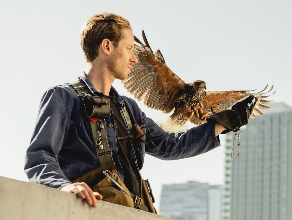 Hawk On Hand Falconry | 4235 Monterey Rd, Los Angeles, CA 90032, USA | Phone: (845) 532-5401