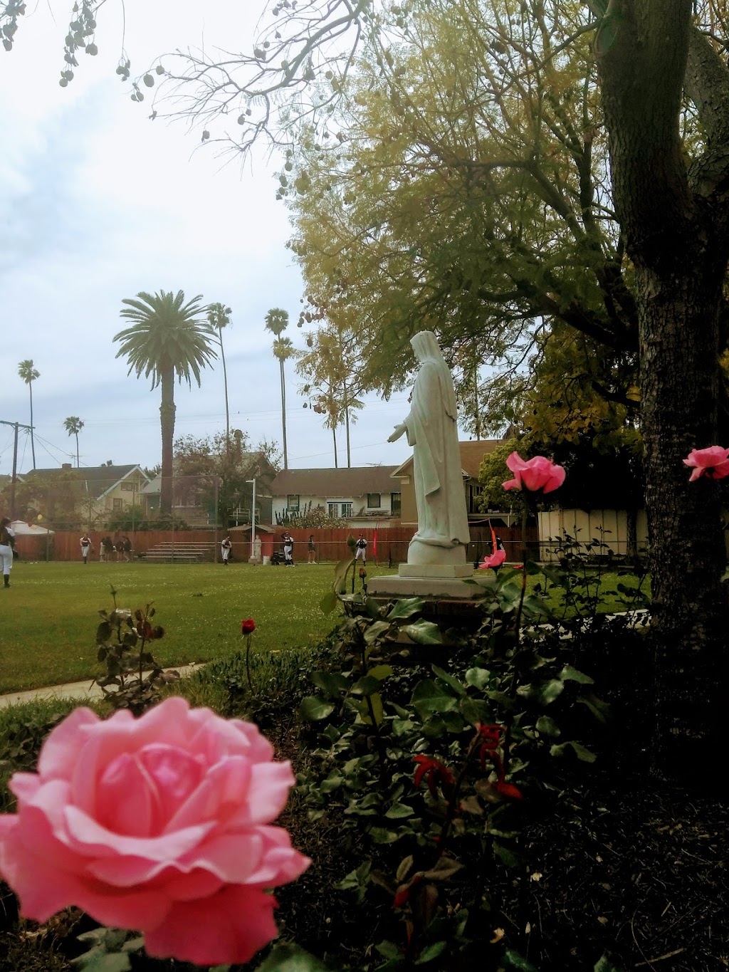 Bishop Conaty- Our Lady of Loretto High School | 2900 W Pico Blvd, Los Angeles, CA 90006, USA | Phone: (323) 737-0012