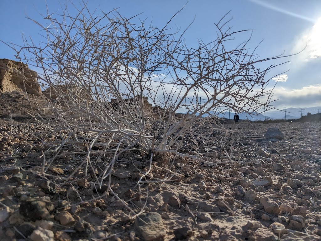 Tule Springs Fossil Beds National Monument | Las Vegas, NV 89124, USA | Phone: (702) 293-8853