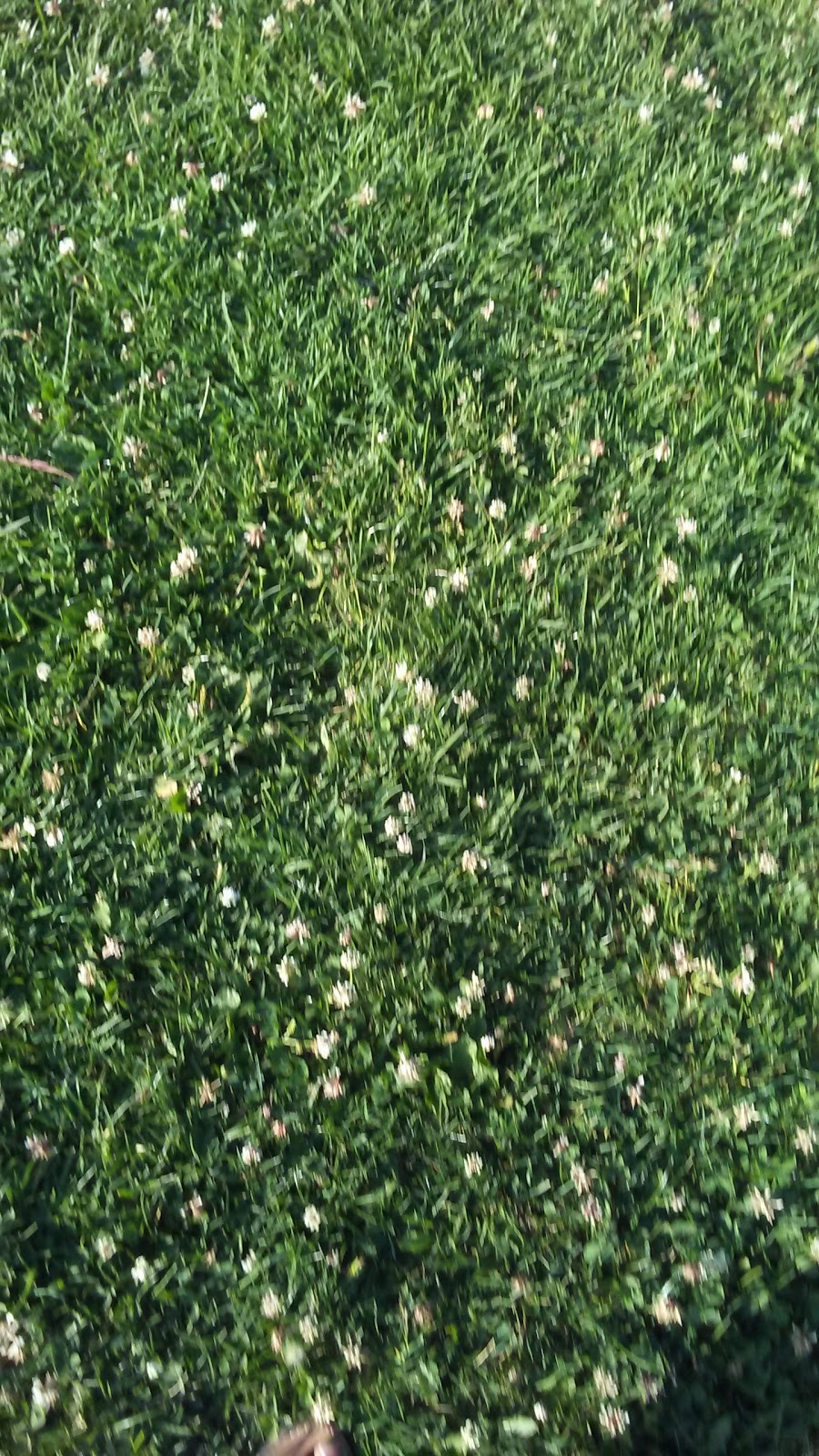 Gonzales Park | 1101 W Cressey St, Compton, CA 90222, USA | Phone: (310) 537-5347