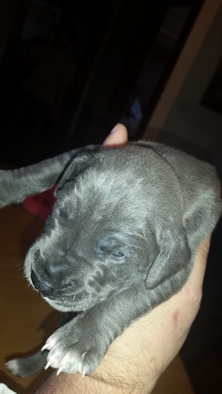 C & R Plumbing | 50419D Russell Rd, New London, NC 28127, USA | Phone: (704) 463-7761