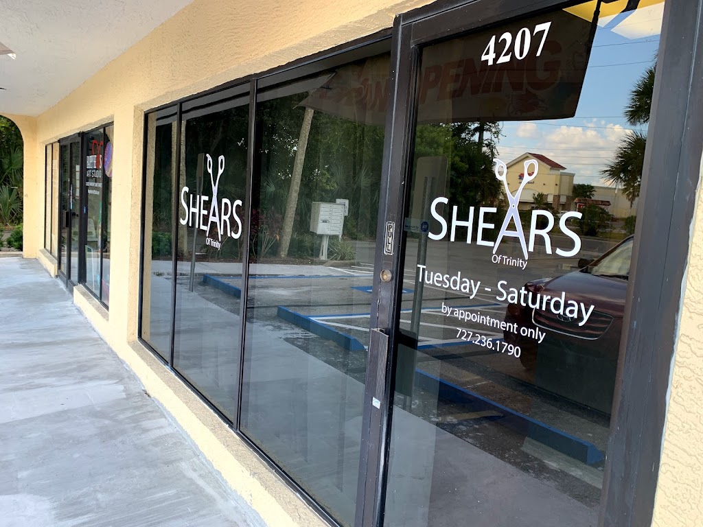 Shears of Trinity | 4207 Little Rd, Trinity, FL 34655, USA | Phone: (727) 236-1790