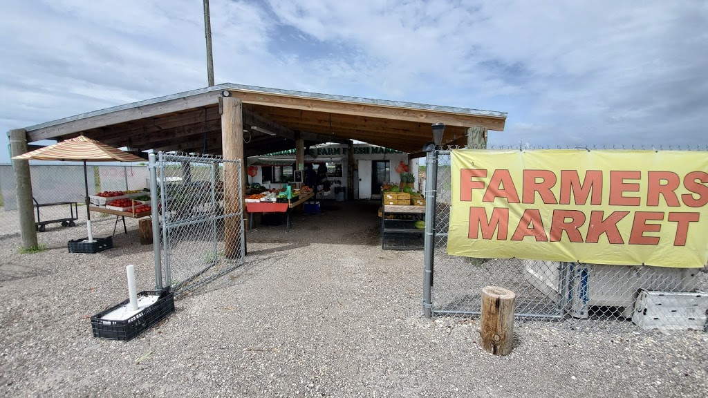 Francis Farm Fresh Market | 12790 SW 157th Ave, Miami, FL 33196, USA | Phone: (305) 247-8847