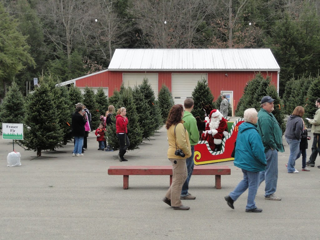 Mytrysak Family Tree Farm and Greenhouse | 1803 Fleming Rd, Indiana, PA 15701, USA | Phone: (724) 463-0570