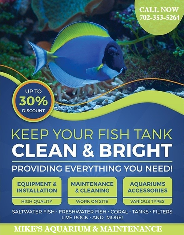 Mikes Aquarium Maintenance | 8000 Sparkling Creek Ave, Las Vegas, NV 89143, USA | Phone: (702) 353-5264