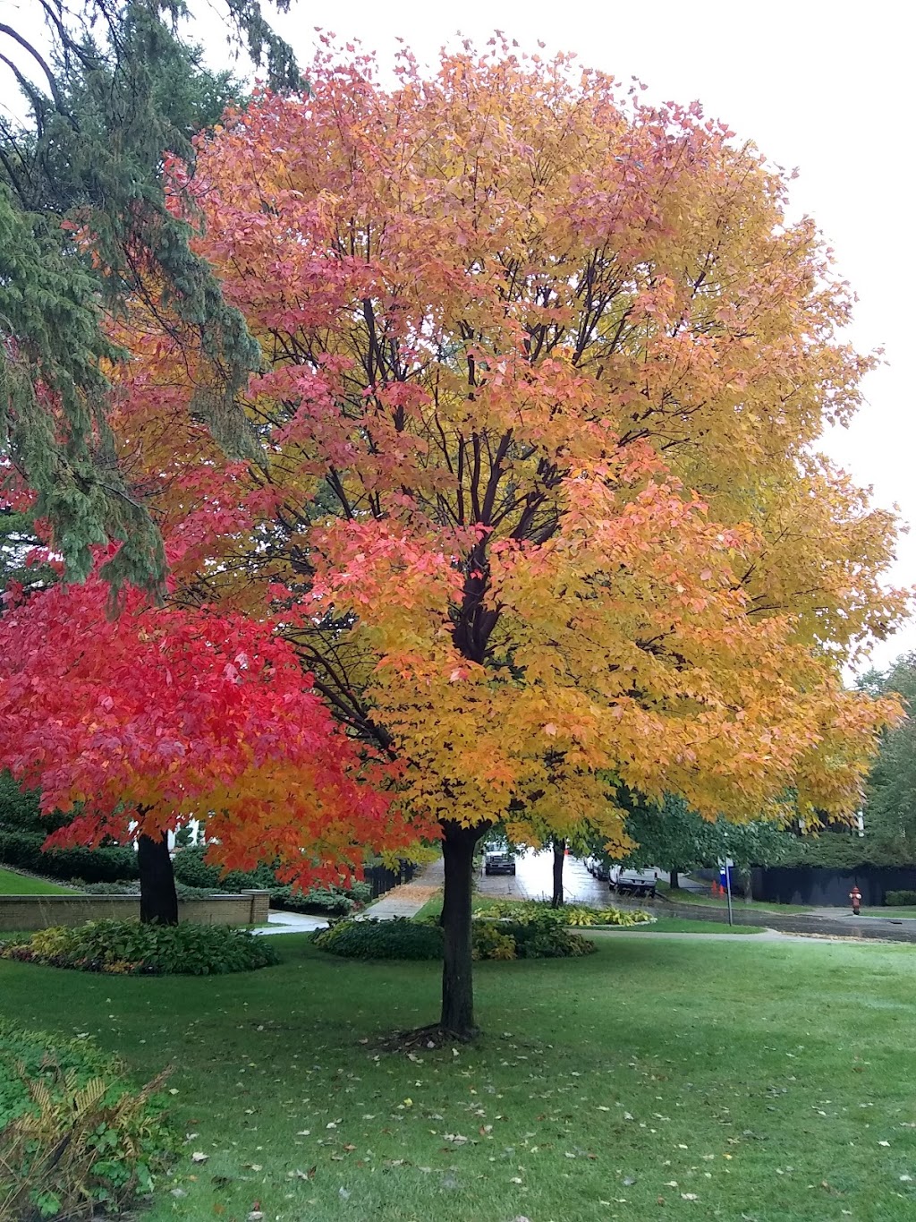 Lake of the Isles Park | 2500 Lake of the Isles Pkwy E, Minneapolis, MN 55405, USA | Phone: (612) 230-6400