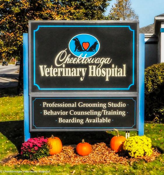 Cheektowaga Veterinary Hospital | 957 Dick Rd, Cheektowaga, NY 14225 | Phone: (716) 634-8736