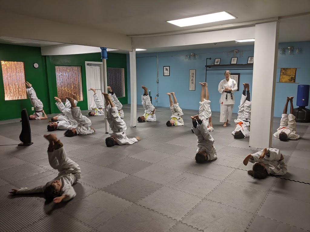 Shi Kaze Dojo | 177 Kendra Dr, McDonough, GA 30253, USA | Phone: (404) 855-1918