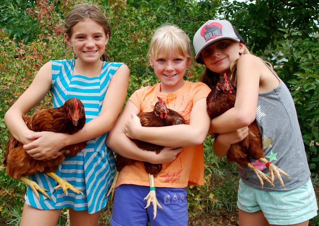 Running River School | 1370 Forest Park Cir, Lafayette, CO 80026, USA | Phone: (303) 499-2059