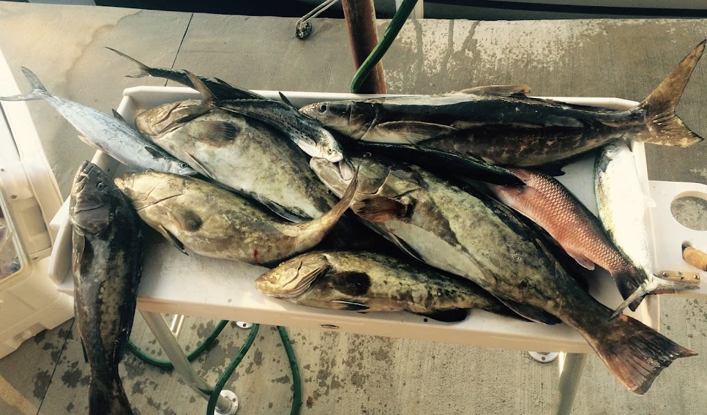 Homosassa Fishing Charters | 5590 S Boulevard Dr, Homosassa, FL 34448, USA | Phone: (352) 572-4886