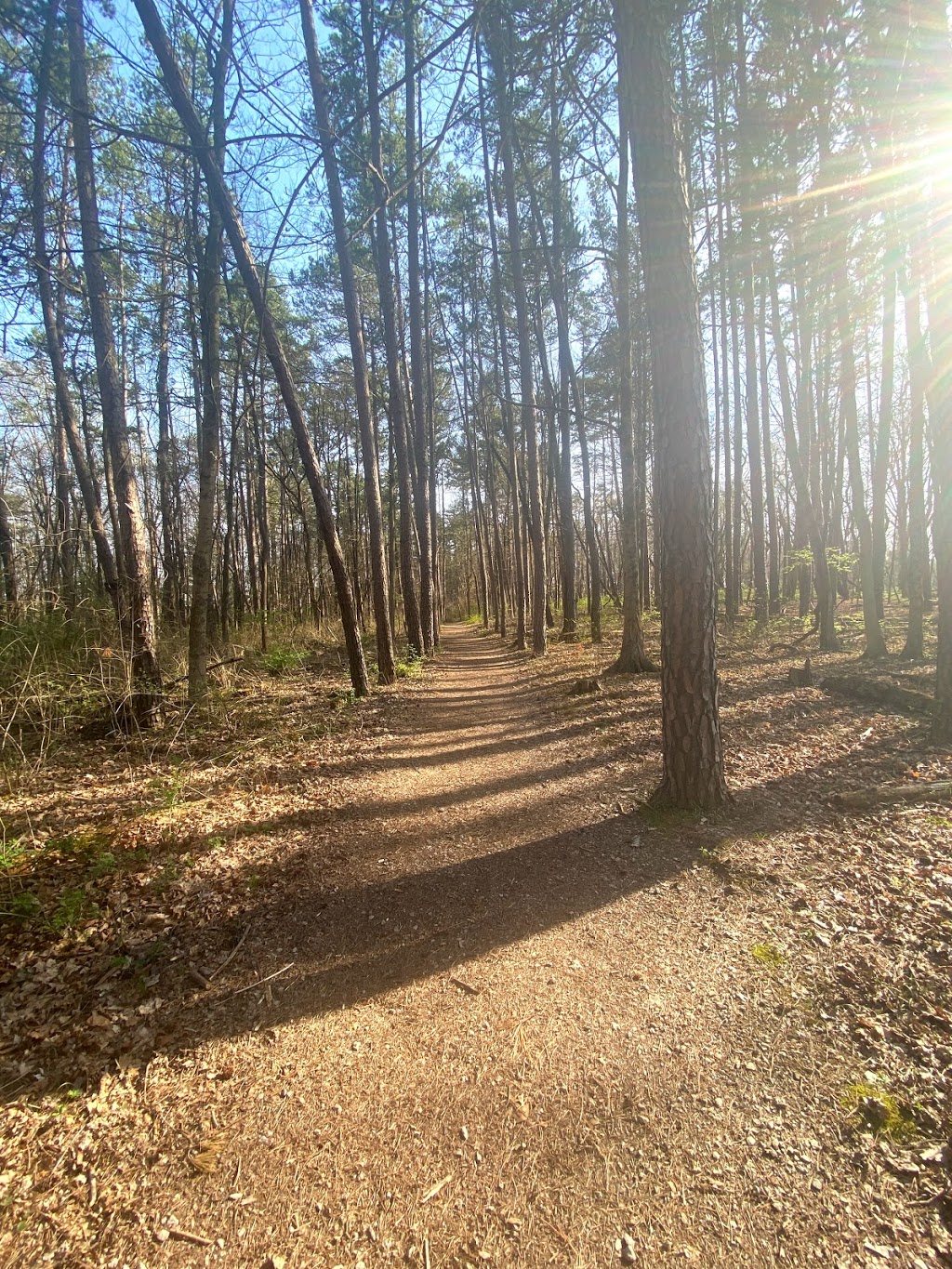 Winton Woods Fitness Trail | 10100-, 10248 Mc Kelvey Rd, Cincinnati, OH 45231, USA | Phone: (513) 521-7275