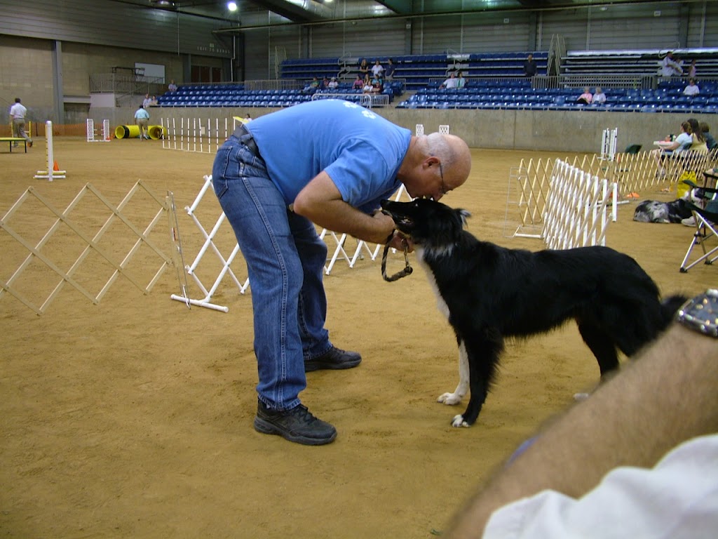 DOGTAG Agility | 141 W 181st St S, Mounds, OK 74047, USA | Phone: (918) 827-5867