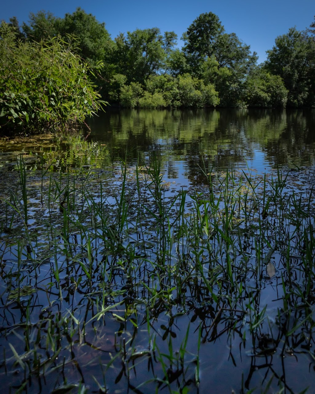 Northdale Lake Park Trail Head | 4417 Northdale Lake Park Trail, Tampa, FL 33624, USA | Phone: (813) 264-3806