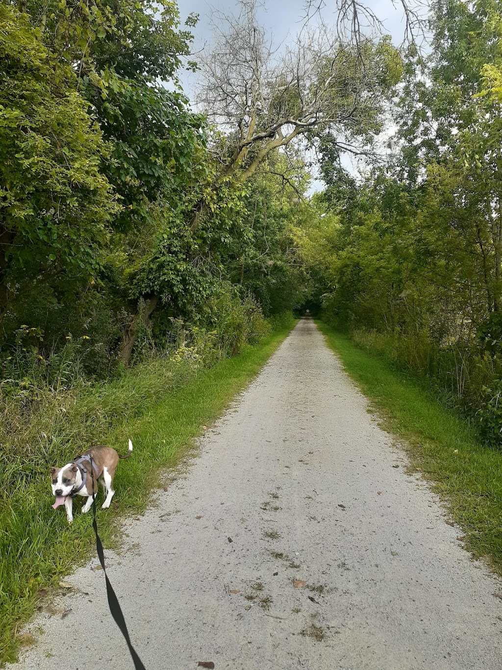 Sippo Valley Trail-Alabama Ave. Trailhead | 2200 Alabama Ave NW, North Lawrence, OH 44666, USA | Phone: (330) 477-3552