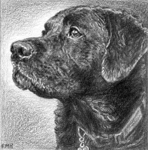 Top Dog Art | 127 Tremont Cir, Chapel Hill, NC 27516, USA | Phone: (919) 929-3775