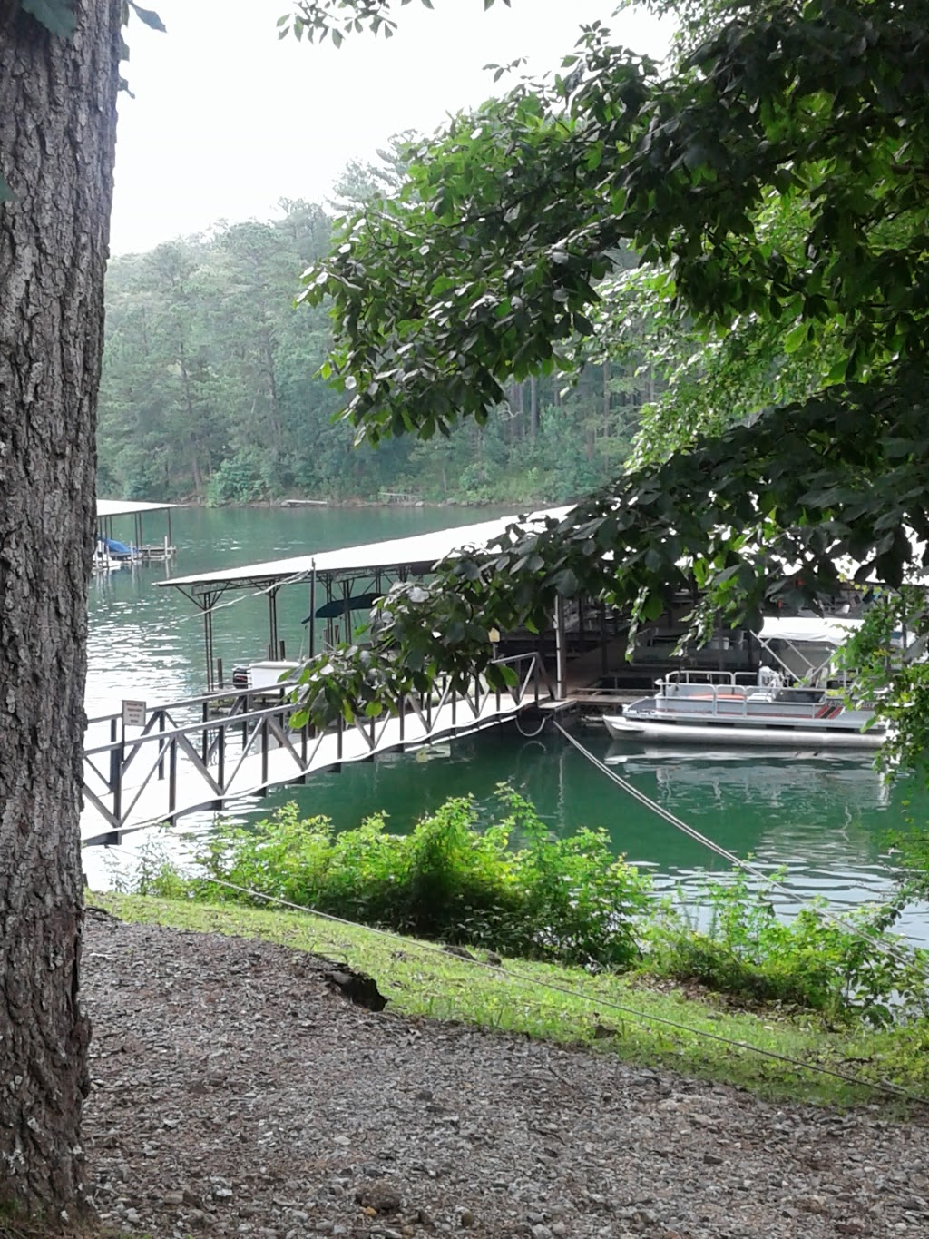 Wilderness Camp Marina | 451 Wilderness Camp Rd SE, White, GA 30184 | Phone: (770) 386-2170