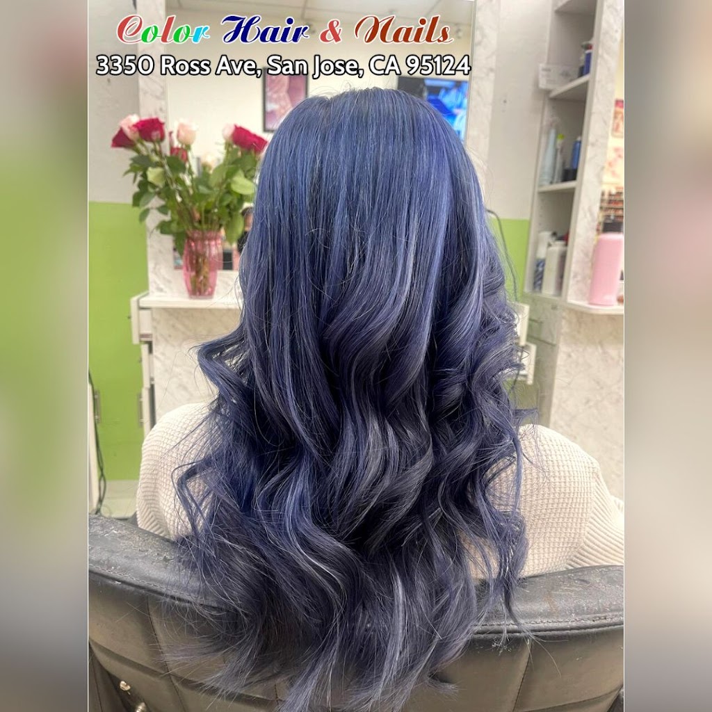 Color Hair & Nails | 3350 Ross Ave, San Jose, CA 95124, USA | Phone: (408) 265-6245