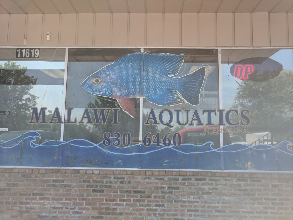 Malawi Aquatics | 11619 W Florissant Ave, Florissant, MO 63033, USA | Phone: (314) 830-6460