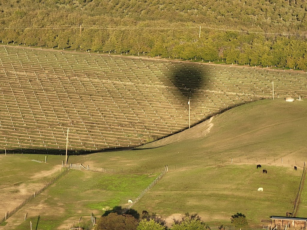 Yolo Ballooning Adventures | 800 Business Park Dr i, Dixon, CA 95620 | Phone: (530) 662-8867