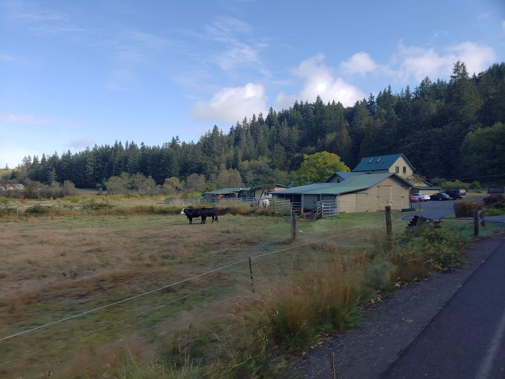 Big Valley Veterinary Services | 25297 Big Valley Rd NE, Poulsbo, WA 98370, USA | Phone: (360) 697-1650 Big Valley Veterinary Services | 25297 Big Valley Rd NE, Poulsbo, WA 98370, USA | Phone: (360) 697-1650