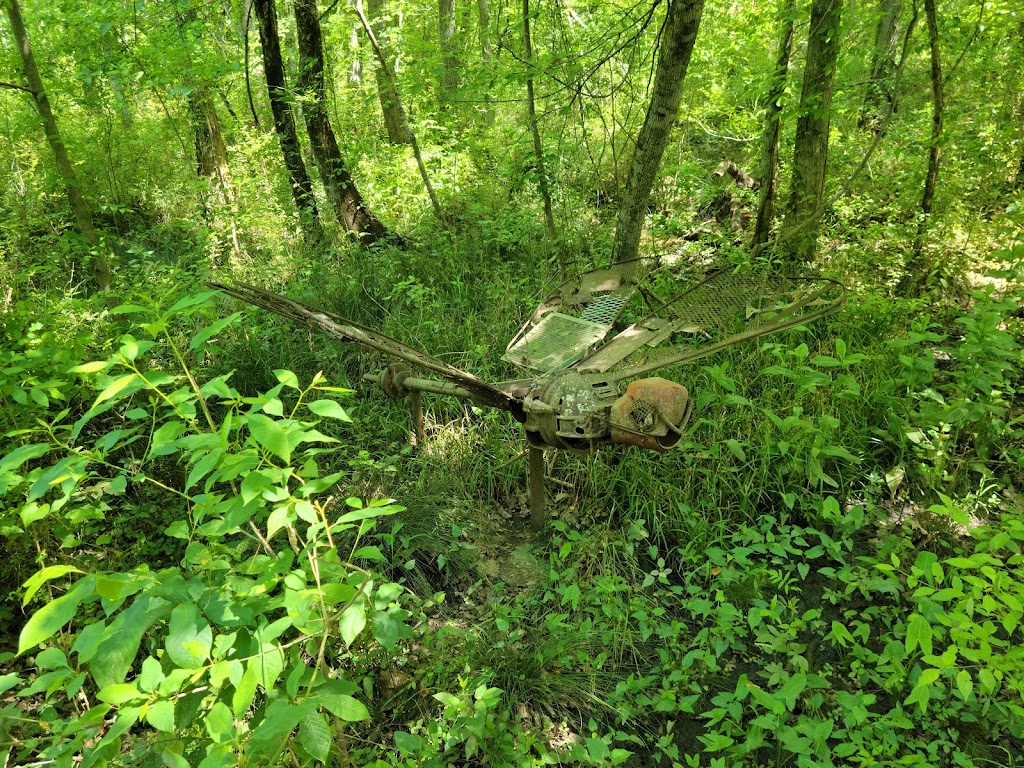 Ebenezer Swamp Ecological Preserve | Montevallo, AL 35007, USA | Phone: (205) 665-6463