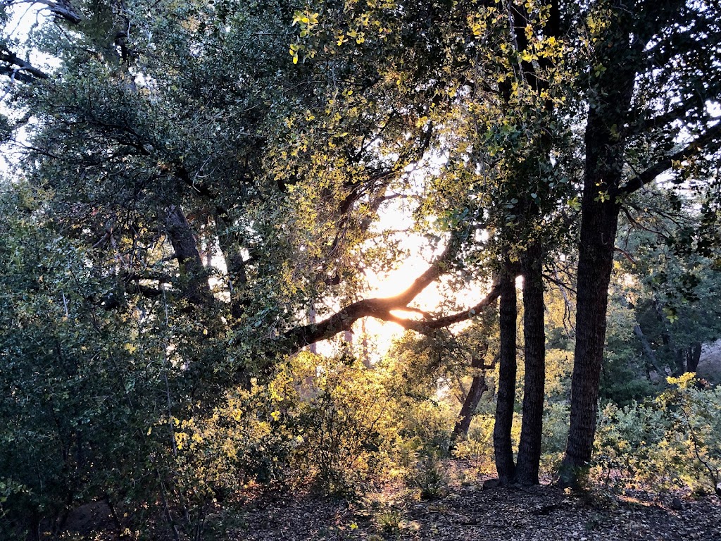 Fern Basin Campground | Forest Rte 4S02, Banning, CA 92220, USA | Phone: (909) 382-2600