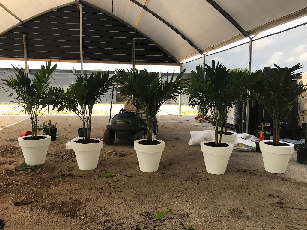 Berneckers Nursery | 16900 SW 216th St, Miami, FL 33170 | Phone: (305) 247-8527