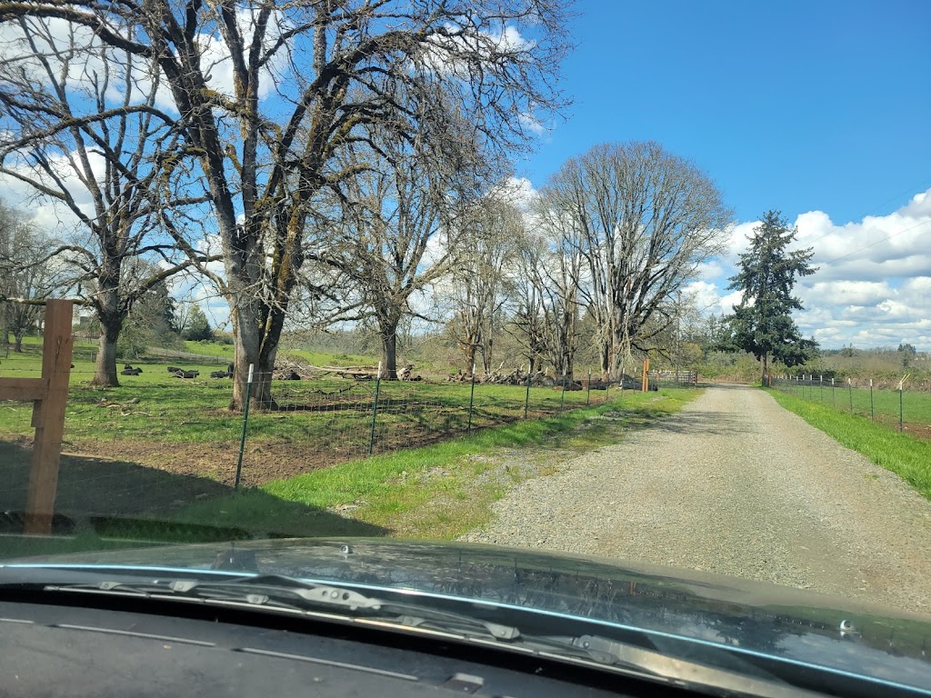 Mountain Stream Meat Co. | 14818 S Teasel Creek Rd, Molalla, OR 97038, USA | Phone: (971) 349-0710