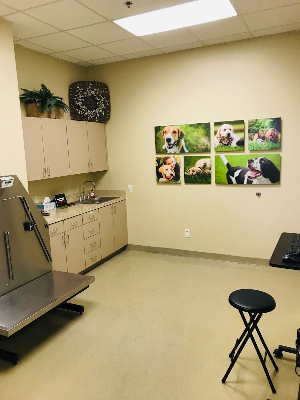 Towne Center Animal Hospital | 82 Grapevine Hwy, Hurst, TX 76054, USA | Phone: (817) 498-8888