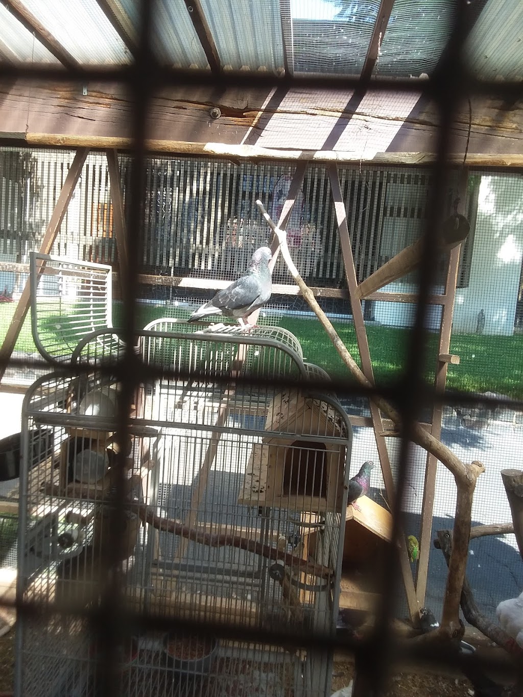 St Joseph's Salesian Youth Retreat Center 8301 Arroyo Dr, Rosemead