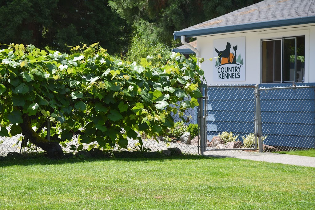 Country Kennels | 11812 8th Ave E, Tacoma, WA 98445, USA | Phone: (253) 535-9314